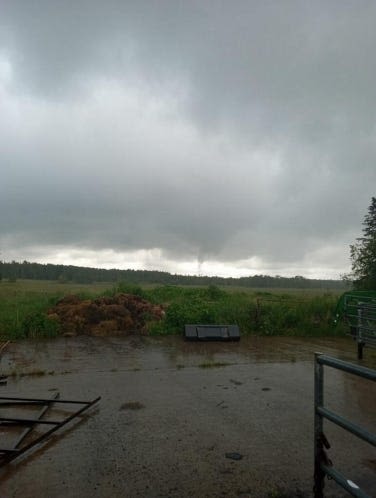 Officials confirm tornado touched down Friday in Taylor County