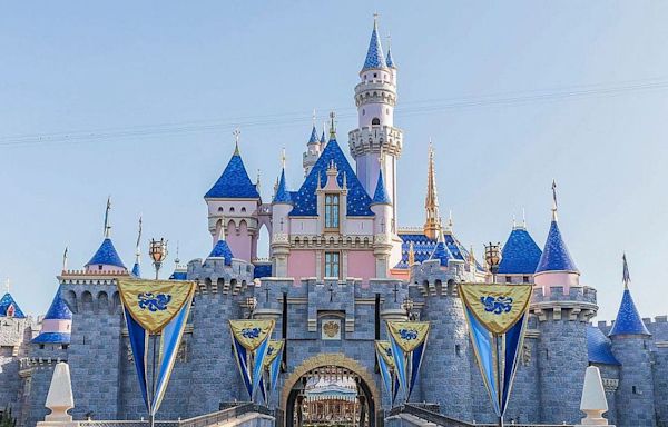 Disneyland Is Politely Tying To Crack Down On An Annoying Trend, And It's About Time