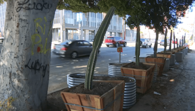 City removes planters placed to prevent homeless encampment on Hollywood sidewalk