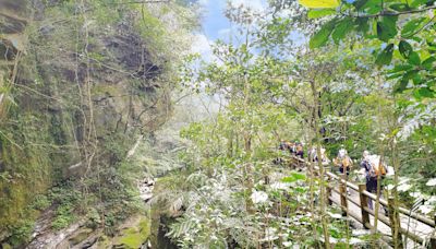 淡蘭古道暖東峽谷步道設交流牌 台日背包客體驗步道美