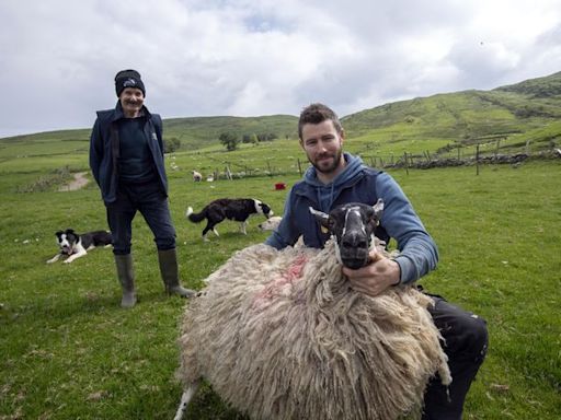 Glyn Egan: Dad talked me into keeping 40 ewes I wanted to cull last year – but now I’m getting ruthless