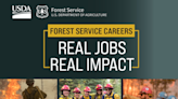 Forest service is hiring entry-level wildland firefighters
