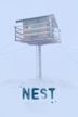 Nest (2022 film)