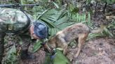 Niños perdidos en la selva mantienen tensa a Colombia