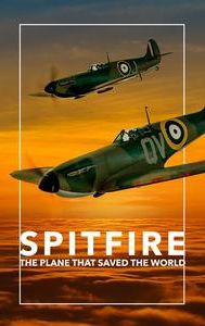 Spitfire (2018 film)