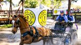 Live Oak International tops list of weekend fun in Ocala/Marion County