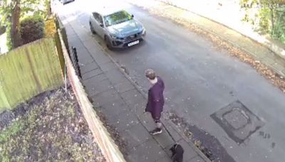 Lazy owner caught on CCTV throwing dog poo into family's garden