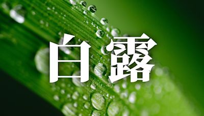 24節氣白露：習俗、禁忌、諺語、養生重點一次看