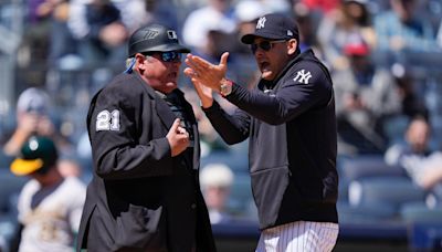 MLB expected to review Aaron Boone, Hunter Wendelstedt incident involving fan