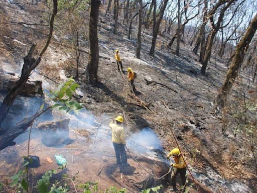 Sofocan incendio forestal ocurrido en Tilzapotla