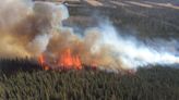 Alaska communities awarded $3.7M in Community Wildfire Defense Grants