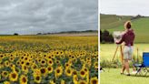 Artists invited to sit in field for day and paint flowers - and have work displayed