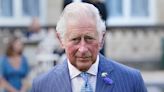 Prince Charles Denies Wrongdoing Over $1 Million Bin Laden Donation