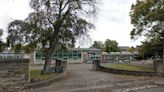 The 'flawless' Edinburgh primary schools ranked among best in Scotland