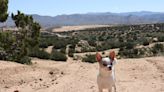 Honda Valley overlook near Hesperia offers a perfect place to hike, unwind