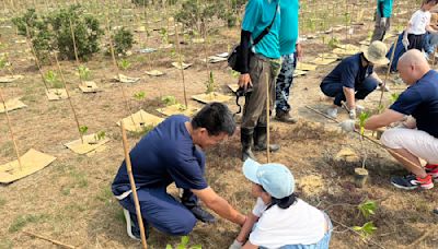 「員工健走，我種樹」Walkii發起健康森林計畫 逾30家企業積極參與