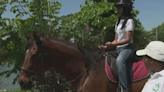 Horses teach city kids life lessons: ‘They’re focused’