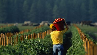 State governor passes law inhibiting protections for outdoor workers during sweltering temperatures: 'It's incomprehensible'