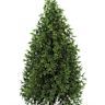 Live evergreen trees harvested for use as holiday decorations. Offer a natural, fresh pine scent that adds to the holiday ambiance. Each tree is unique, with variations in size, shape, and needle type.