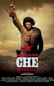 Che: Part Two