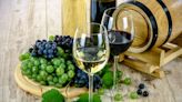 Del asado al "bag in box": mitos y tendencias del consumo de vino en Argentina