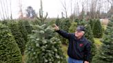 As climate warms, that perfect Christmas tree may depend on growers' ability to adapt