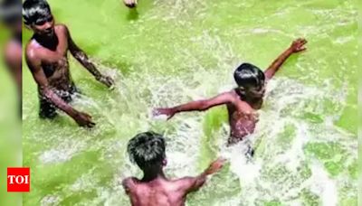 Three kids drown while swimming in Lakhimpur city, Bareilly | Bareilly News - Times of India