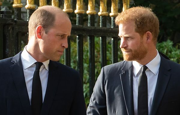 Prince William, Prince Harry feud could finally be resolved thanks to Princess Diana's family: expert