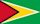 Flag of Guyana