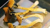 Poison Center calls for ‘magic mushrooms’ spiked after decriminalization, study finds