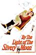 By the Light of the Silvery Moon (film)