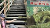 偶遇稀有毒蛇「莽山烙鐵頭」…她竟上前對視合照 驚險畫面嚇傻網友