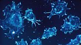 Cancer has many faces − 5 counterintuitive ways scientists are approaching cancer research to improve treatment and prevention