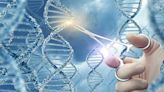 Intellia, Other CRISPR Stocks Hammered On Safety Concerns In New Gene-Editing Test