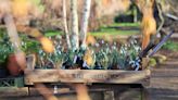 Historic garden holds 'queer nature tour' for LGBTQ+ month