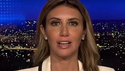 Donald Trump Attorney Alina Habba Mercilessly Mocked For Pure Projection