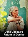 Jane Goodall's Return to Gombe