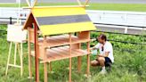 Sebastian Vettel creates buzz at Japanese Grand Prix as he sets up ‘insect hotels’