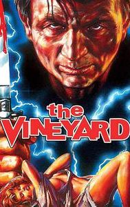 The Vineyard