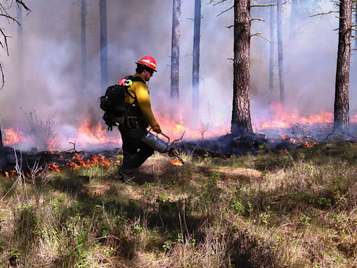 Despite mild fire season forecast, agencies tell Oregon leaders they need to invest in workforce