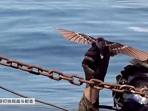 China unveils new cutting-edge military drones disguised as birds