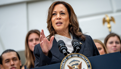 Harris snubs one of the few Dems open to being her VP: report