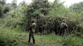 Gunmen kill two rangers in Congo's Virunga National Park