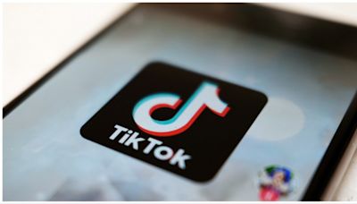Expert says TikTok national security threat is real