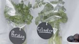 Preserve your fresh herbs with these simple hacks