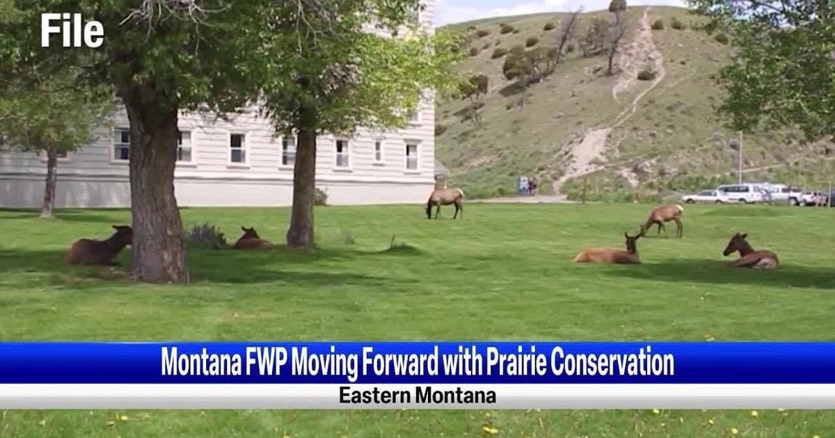 Montana FWP moves forward with prairie conservation