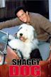 The Shaggy Dog (1994 film)