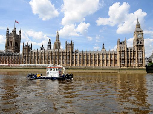 New Parliament ‘most diverse in UK’s history’, according to election analysis