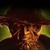 Jeepers Creepers: Reborn