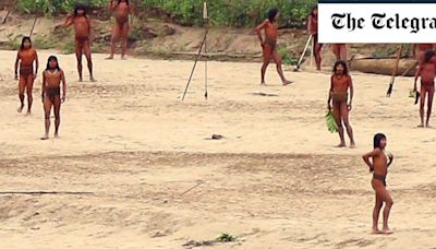 Watch: Uncontacted tribe affected by logging emerges from Amazon